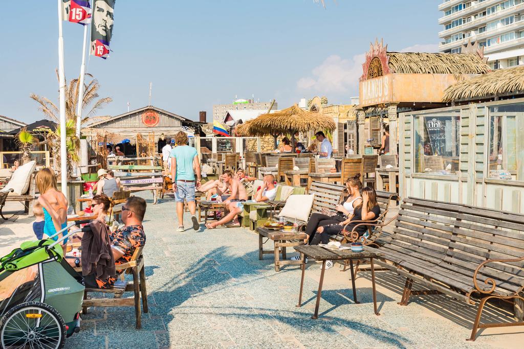 Cute Beach House Zandvoort Buitenkant foto